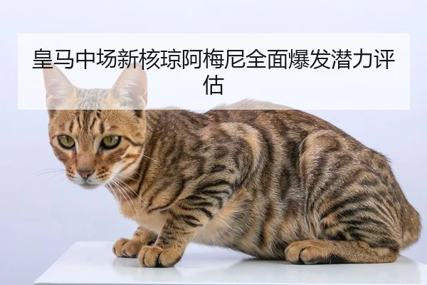 皇马中场新核琼阿梅尼全面爆发潜力评估